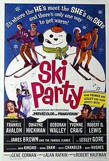 Poster_of_the_movie_Ski_Party.jpg (39570 bytes)