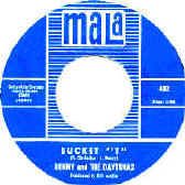 bucket t.jpg (22219 bytes)