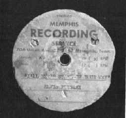 elvis_demo.jpg (136481 bytes)