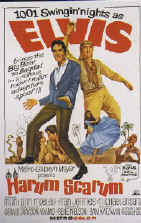 elvisharem.jpg (246466 bytes)
