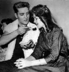 elvis_priscillia.jpg (294400 bytes)