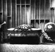 hollycasket.jpg (17861 bytes)