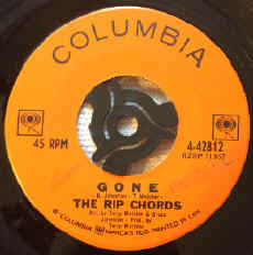 ripchords gone.jpg (108055 bytes)