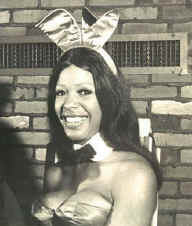 royalettes_bunny.jpg (26198 bytes)