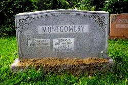 terrell grave.jpg (17171 bytes)
